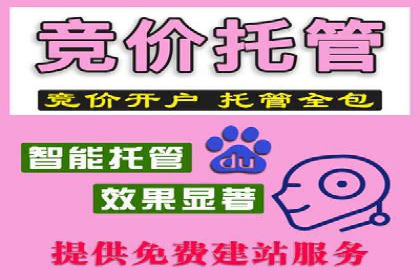 百度SEM推广案例：揭秘行业领军企业的成功之路